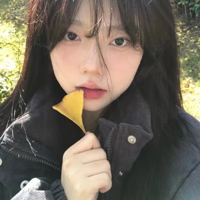 小贵族封面